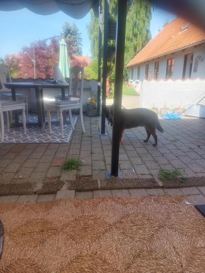 Kragkaer Deer-Lodge B&B A Unique Holiday Home Sæby 外观 照片